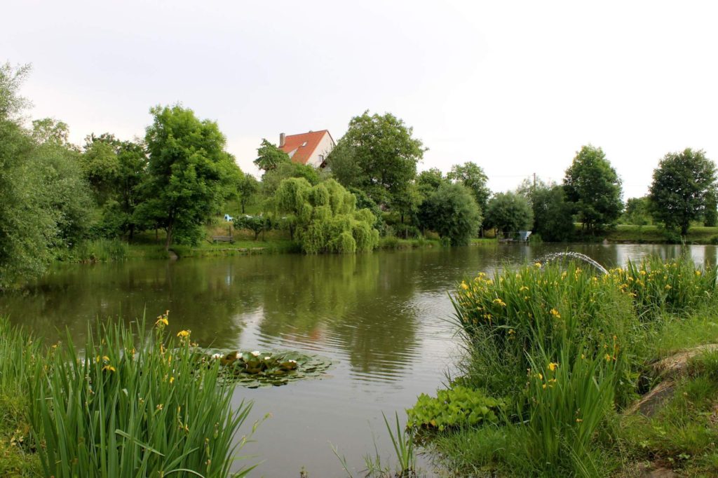 rybník ve voděradech