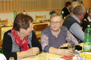posezeni-starsich-obcanu-2018-36