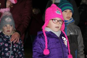 rozsviceni-stromu-2019-37