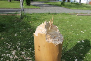 kaceni-maje-2021-0039