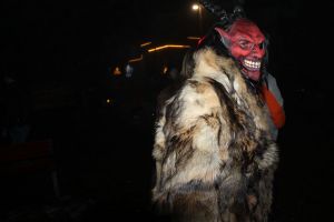 roysviceni-stromu-2025-00332