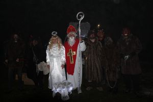 roysviceni-stromu-2025-00342