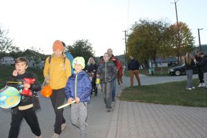 IMG 3082